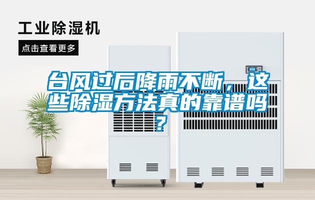 臺風過后降雨不斷，這些除濕方法真的靠譜嗎？