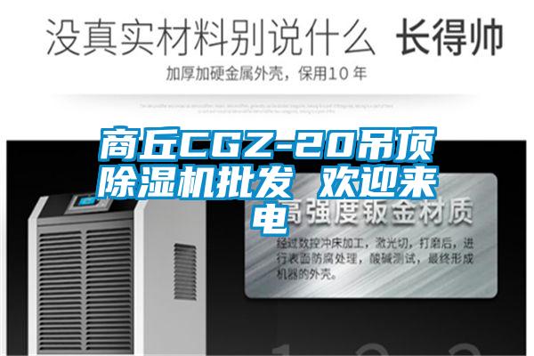 商丘CGZ-20吊頂除濕機(jī)批發(fā) 歡迎來電