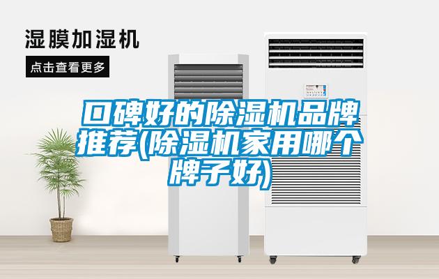 口碑好的除濕機(jī)品牌推薦(除濕機(jī)家用哪個(gè)牌子好)