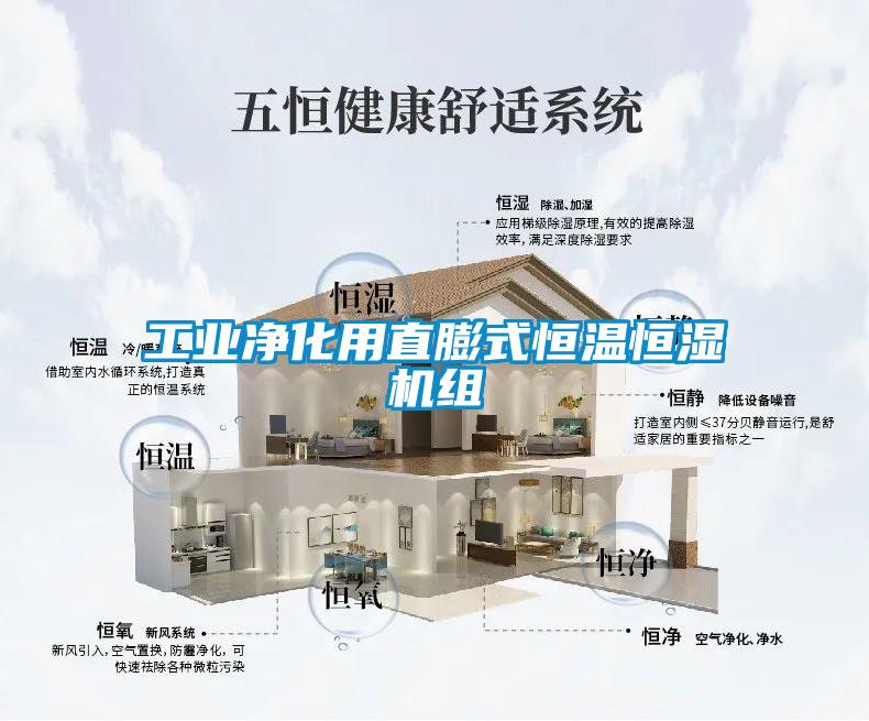 工業(yè)凈化用直膨式恒溫恒濕機(jī)組