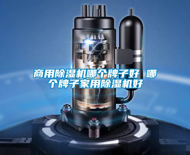 商用除濕機(jī)哪個(gè)牌子好 哪個(gè)牌子家用除濕機(jī)好