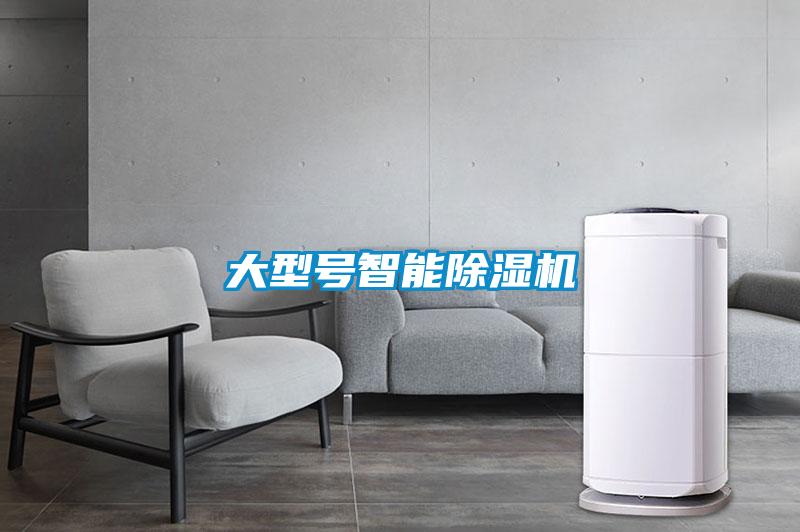 大型號智能除濕機(jī)