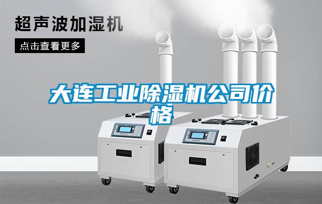 大連工業(yè)除濕機(jī)公司價(jià)格