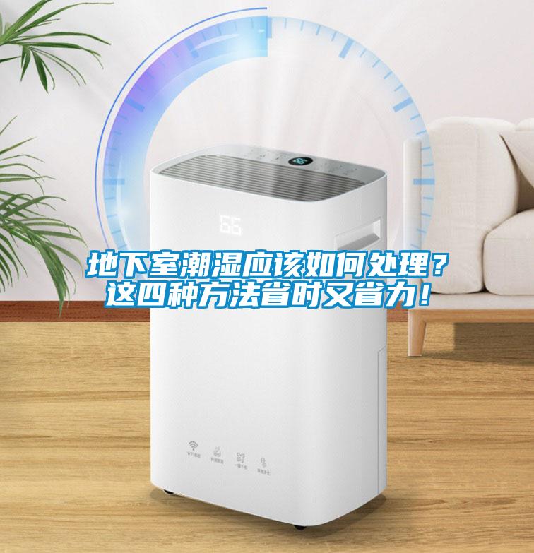 地下室潮濕應該如何處理？這四種方法省時又省力！