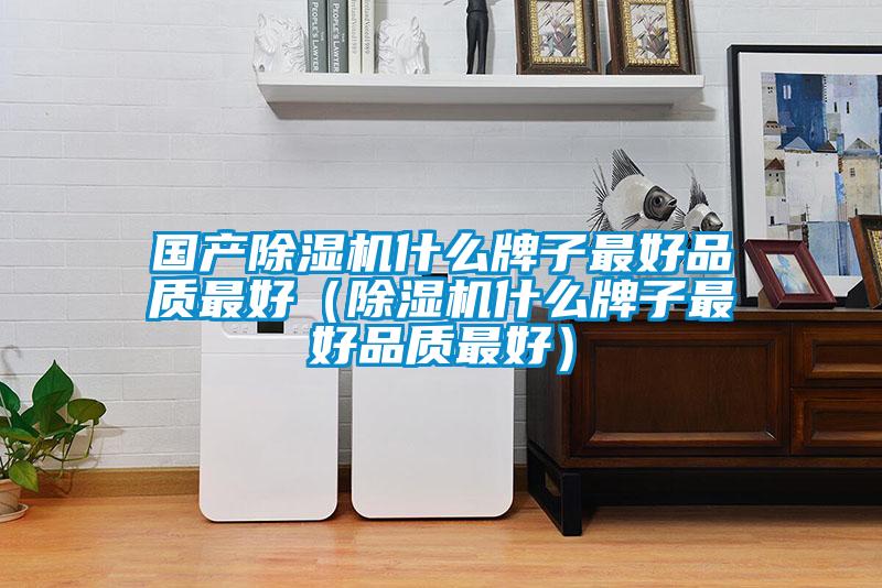 國產(chǎn)除濕機(jī)什么牌子最好品質(zhì)最好（除濕機(jī)什么牌子最好品質(zhì)最好）