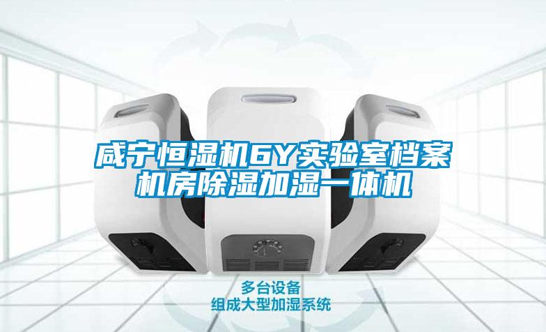 咸寧恒濕機(jī)6Y實驗室檔案機(jī)房除濕加濕一體機(jī)