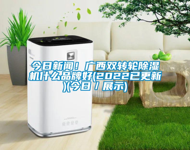 今日新聞！廣西雙轉(zhuǎn)輪除濕機什么品牌好(2022已更新)(今日／展示)