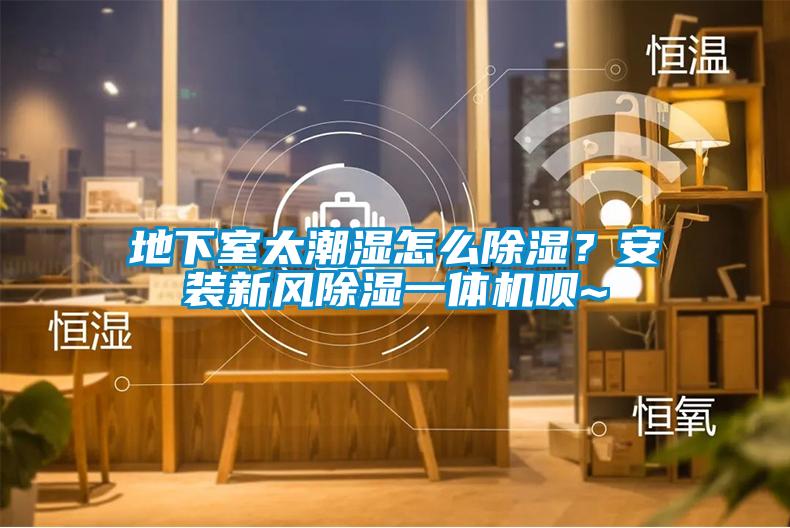 地下室太潮濕怎么除濕？安裝新風除濕一體機唄~