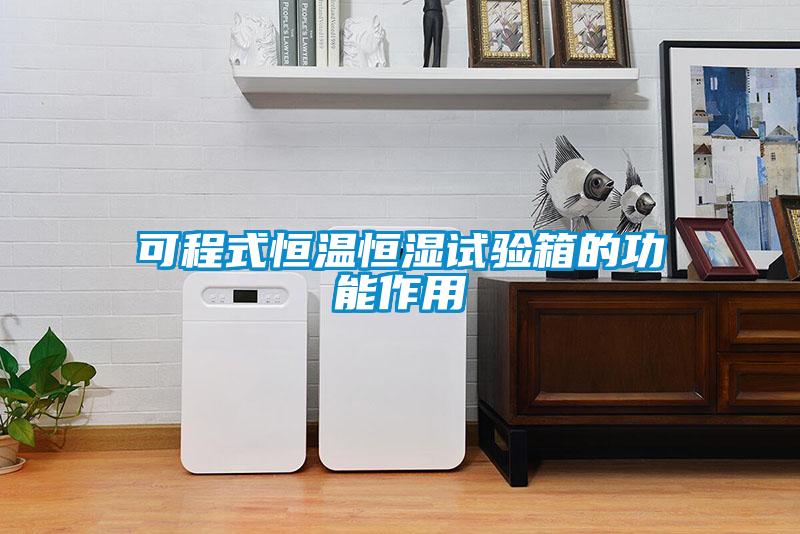 可程式恒溫恒濕試驗(yàn)箱的功能作用