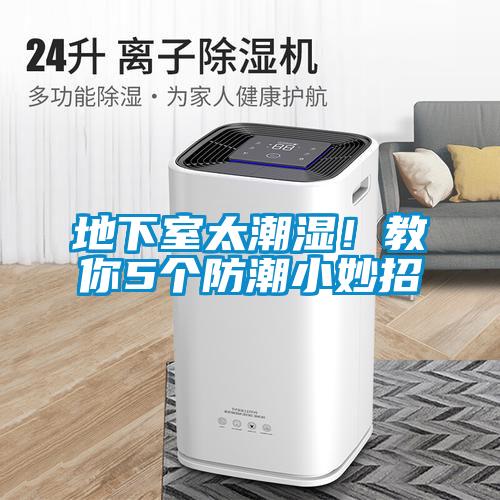地下室太潮濕！教你5個防潮小妙招