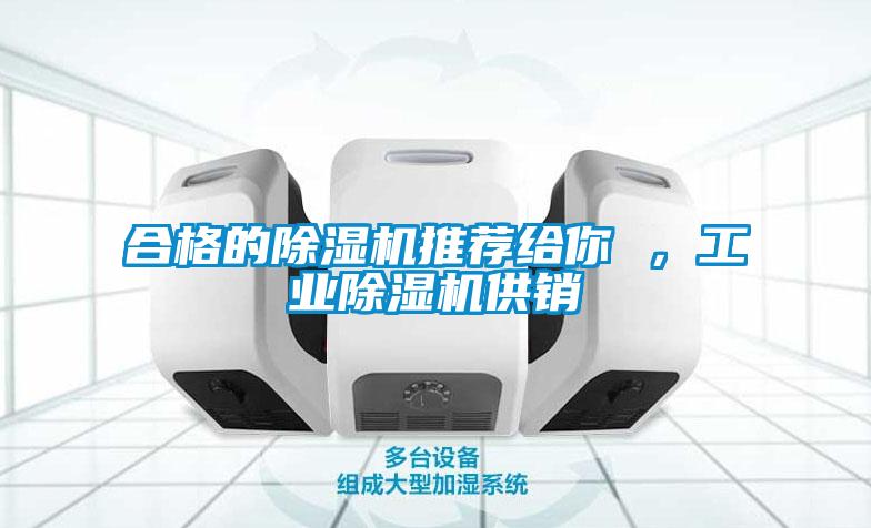 合格的除濕機(jī)推薦給你 ，工業(yè)除濕機(jī)供銷