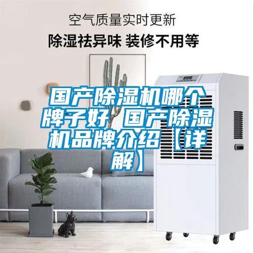 國產(chǎn)除濕機(jī)哪個(gè)牌子好 國產(chǎn)除濕機(jī)品牌介紹【詳解】