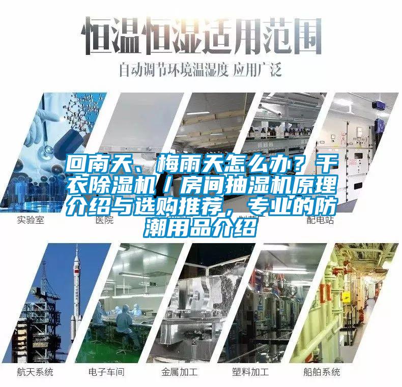 回南天、梅雨天怎么辦？干衣除濕機／房間抽濕機原理介紹與選購?fù)扑]，專業(yè)的防潮用品介紹