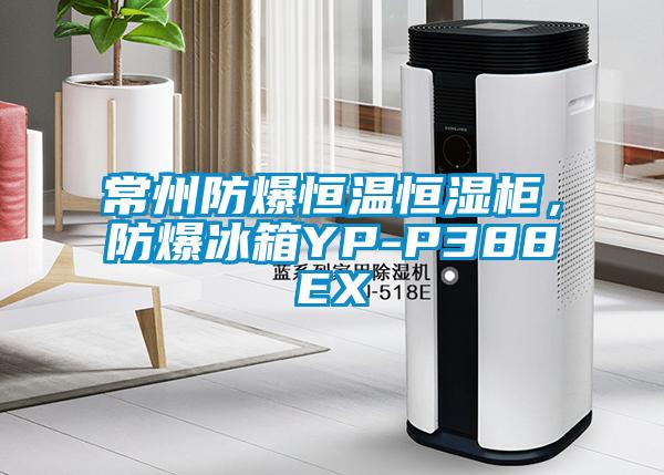 常州防爆恒溫恒濕柜，防爆冰箱YP-P388EX