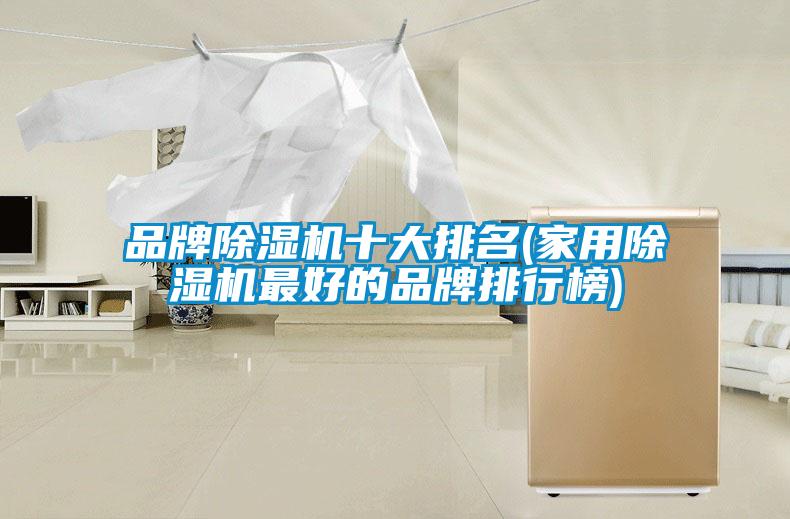 品牌除濕機(jī)十大排名(家用除濕機(jī)最好的品牌排行榜)