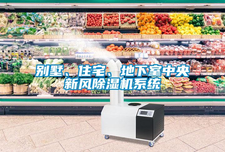 別墅、住宅、地下室中央新風(fēng)除濕機(jī)系統(tǒng)