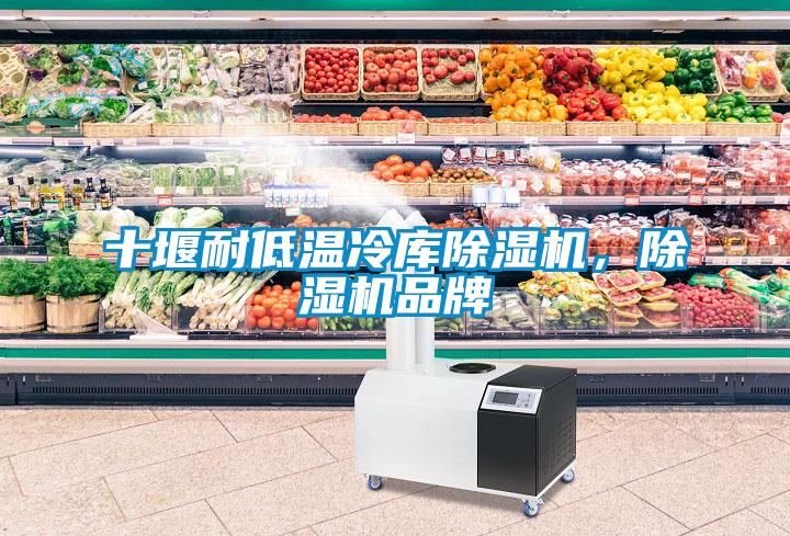 十堰耐低溫冷庫除濕機，除濕機品牌