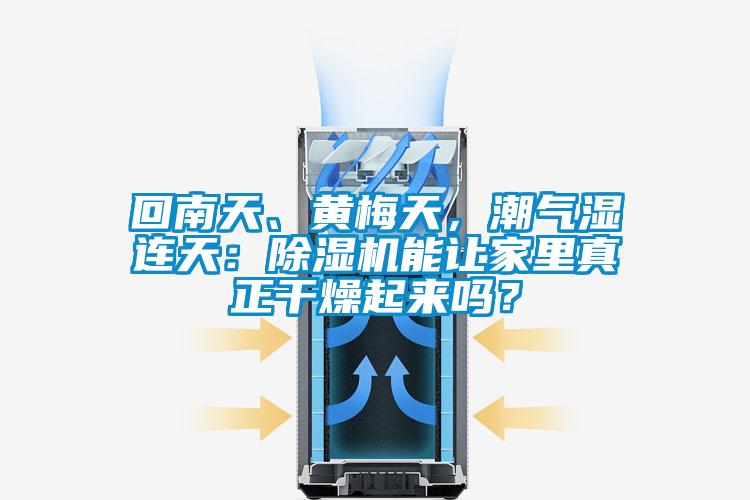 回南天、黃梅天，潮氣濕連天：除濕機(jī)能讓家里真正干燥起來(lái)嗎？