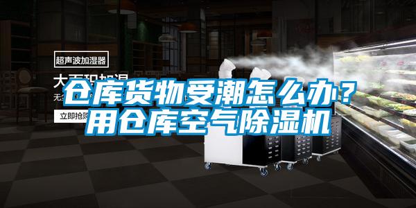 倉庫貨物受潮怎么辦？用倉庫空氣除濕機