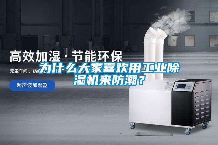 為什么大家喜歡用工業除濕機來防潮？