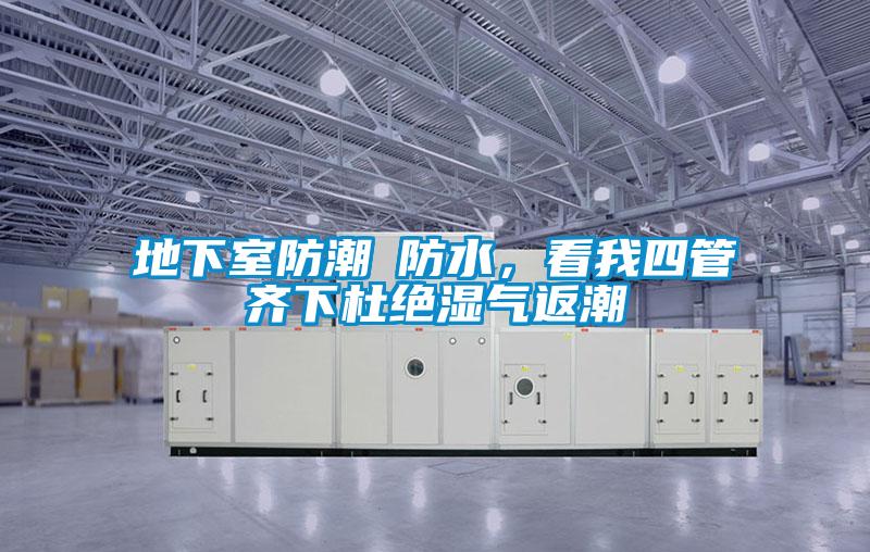 地下室防潮≠防水，看我四管齊下杜絕濕氣返潮