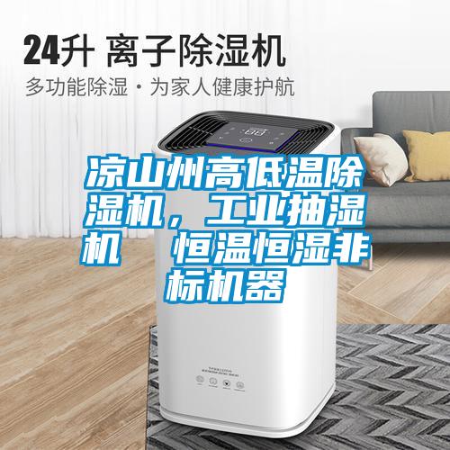 涼山州高低溫除濕機，工業抽濕機  恒溫恒濕非標機器