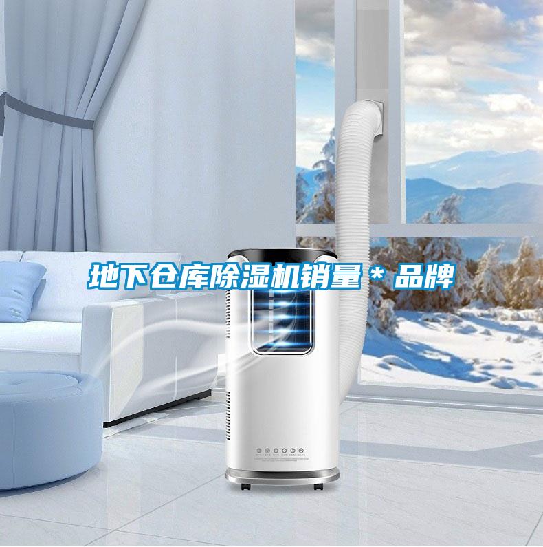 地下倉(cāng)庫(kù)除濕機(jī)銷(xiāo)量＊品牌