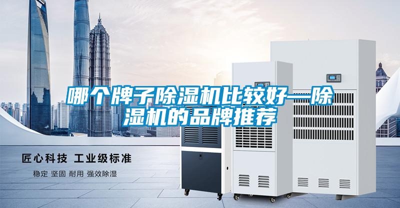 哪個牌子除濕機(jī)比較好—除濕機(jī)的品牌推薦