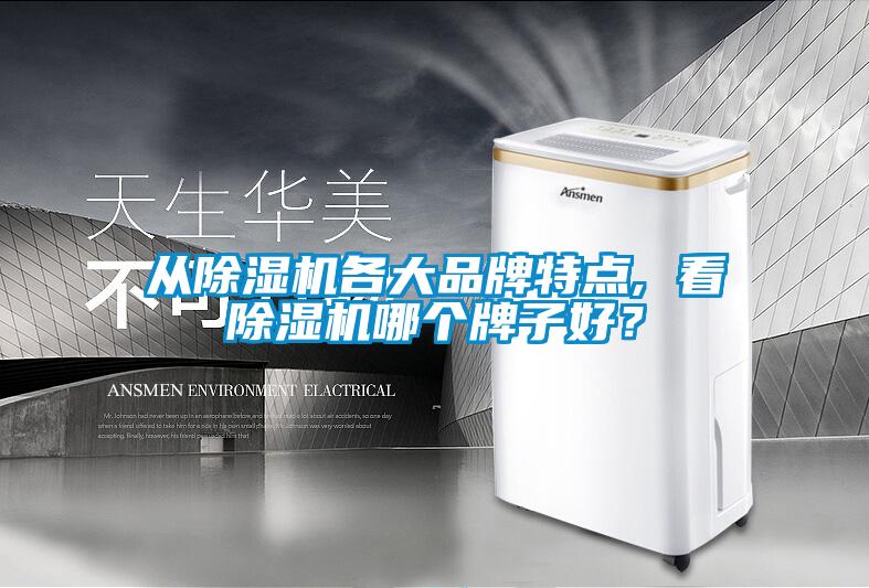 從除濕機各大品牌特點, 看除濕機哪個牌子好？