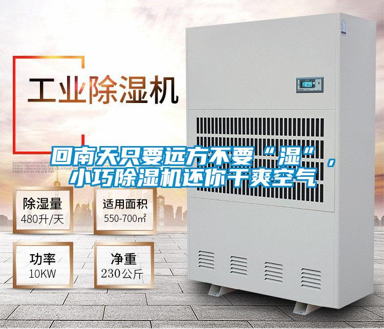 回南天只要遠(yuǎn)方不要“濕”，小巧除濕機還你干爽空氣