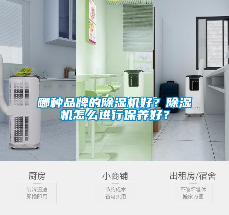 哪種品牌的除濕機好？除濕機怎么進行保養好？
