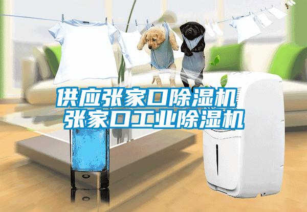 供應(yīng)張家口除濕機 張家口工業(yè)除濕機