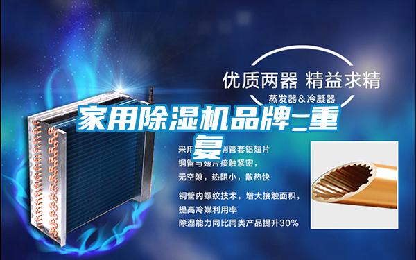 家用除濕機品牌_重復(fù)