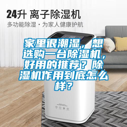 家里很潮濕，想選購一臺除濕機，好用的推薦？除濕機作用到底怎么樣？