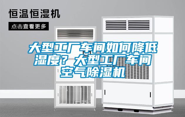 大型工廠車(chē)間如何降低濕度？大型工廠車(chē)間空氣除濕機(jī)