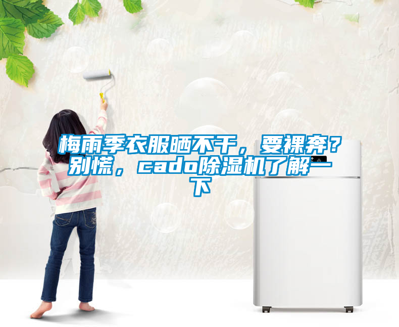 梅雨季衣服曬不干，要裸奔？別慌，cado除濕機(jī)了解一下