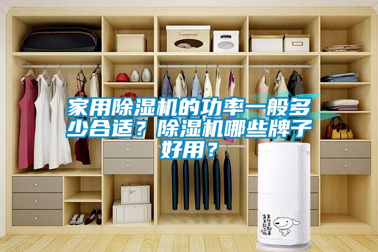 家用除濕機的功率一般多少合適？除濕機哪些牌子好用？