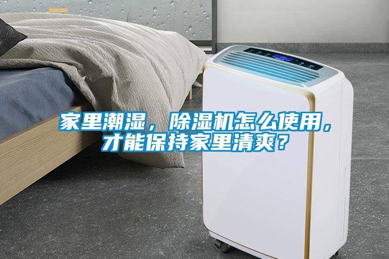 家里潮濕，除濕機怎么使用，才能保持家里清爽？