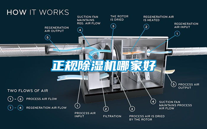 正規除濕機哪家好