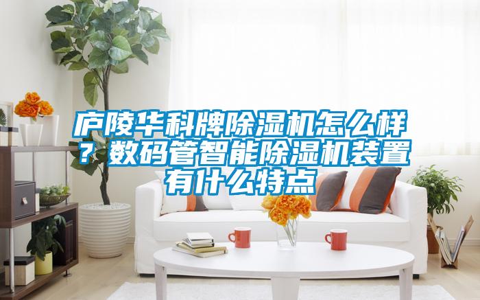 廬陵華科牌除濕機(jī)怎么樣？數(shù)碼管智能除濕機(jī)裝置有什么特點(diǎn)