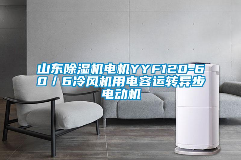山東除濕機(jī)電機(jī)YYF120-60／6冷風(fēng)機(jī)用電容運(yùn)轉(zhuǎn)異步電動機(jī)