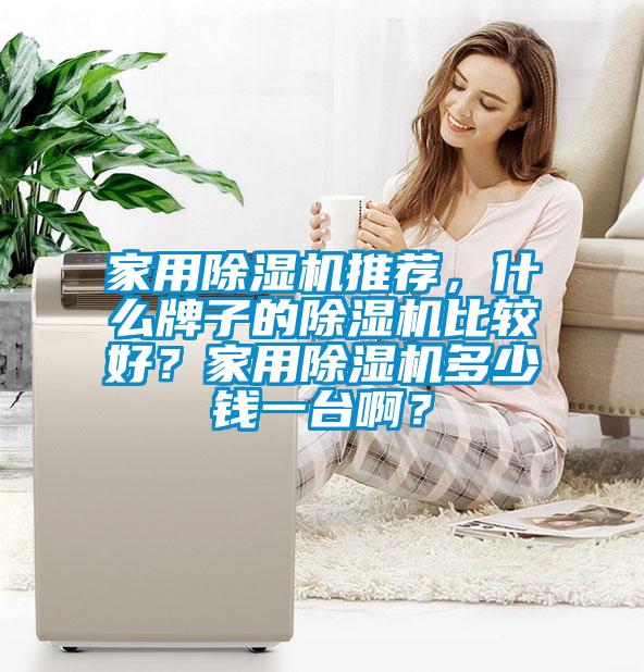 家用除濕機(jī)推薦，什么牌子的除濕機(jī)比較好？家用除濕機(jī)多少錢一臺啊？