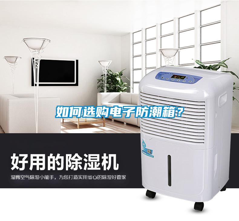 如何選購電子防潮箱？