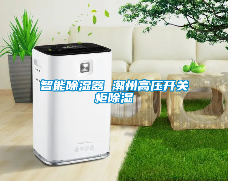 智能除濕器 潮州高壓開(kāi)關(guān)柜除濕