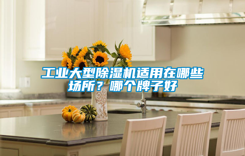 工業(yè)大型除濕機(jī)適用在哪些場所？哪個牌子好