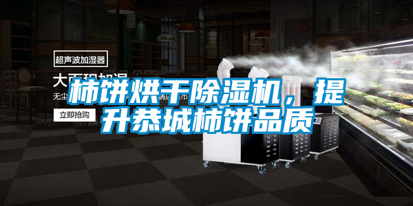 柿餅烘干除濕機，提升恭城柿餅品質