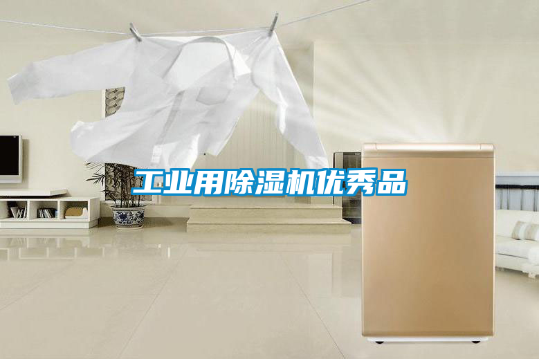 工業(yè)用除濕機(jī)優(yōu)秀品