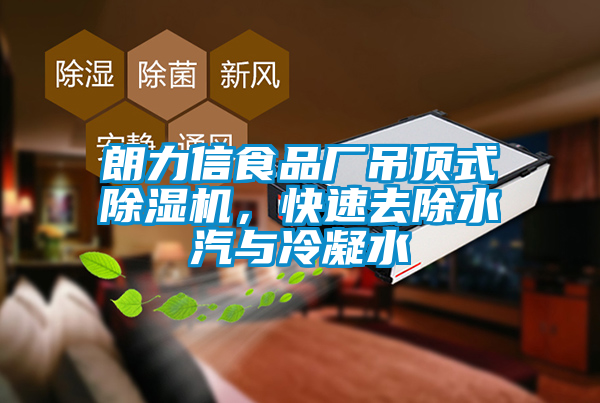 朗力信食品廠吊頂式除濕機，快速去除水汽與冷凝水