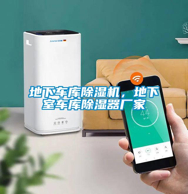 地下車庫除濕機，地下室車庫除濕器廠家