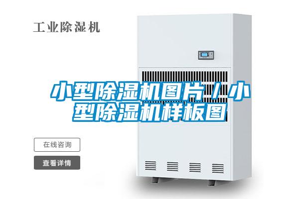 小型除濕機(jī)圖片／小型除濕機(jī)樣板圖